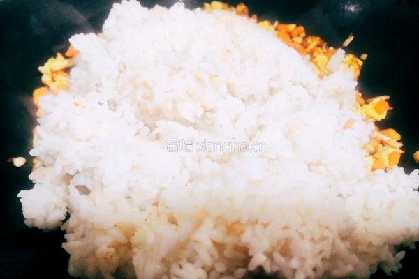 胡萝卜葱花炒饭的做法图解7