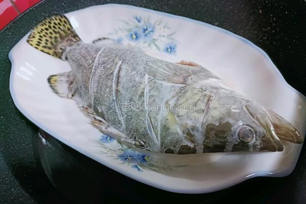 教你烹饪鳜鱼的做法图解9