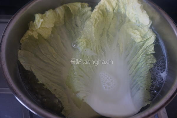 不用面粉的白菜饺子的做法图解7