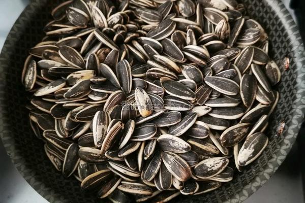 自备零食 干炒葵花籽的做法图解4