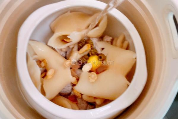 花胶石斛双参汤的做法图解7
