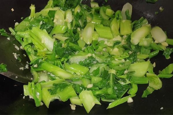 蒜香芥菜的做法图解6