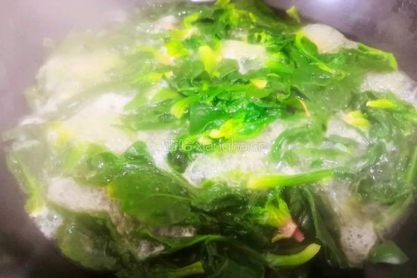 姜汁菠菜的做法图解2