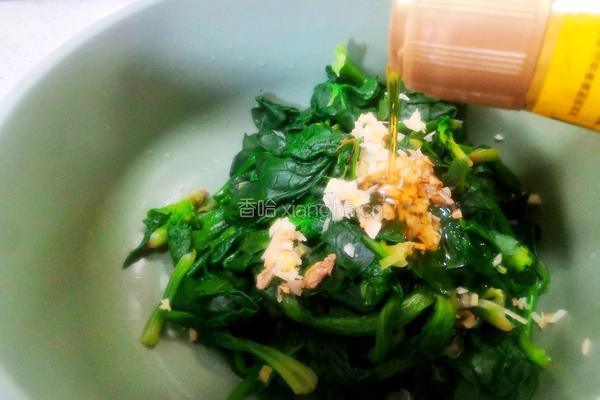 姜汁菠菜的做法图解4
