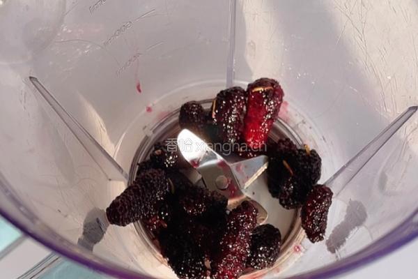 桑葚酸奶西米杯的做法图解3