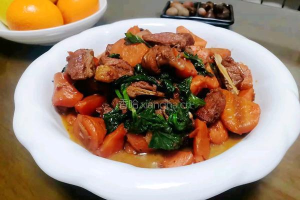胡萝卜炖羊肉的做法图解9