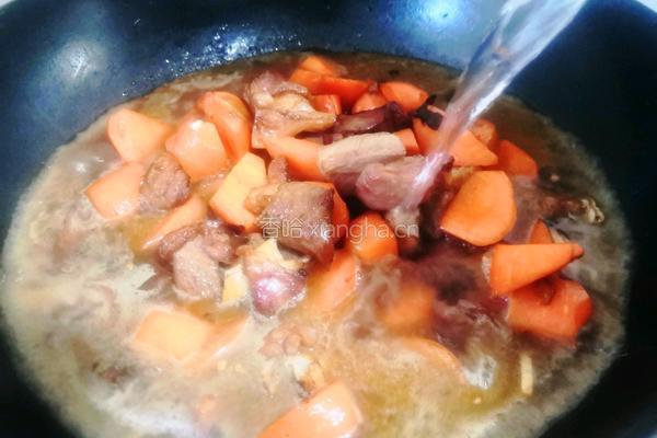 胡萝卜炖羊肉的做法图解6