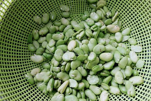 炒雪菜笋丝豆瓣的做法图解1