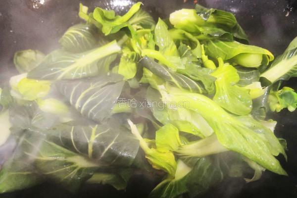 小油菜炖豆腐的做法图解3