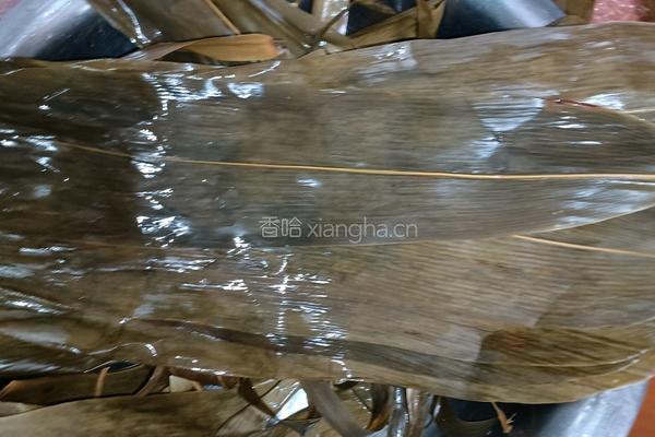 自制纯手工大枣粽子的做法图解1