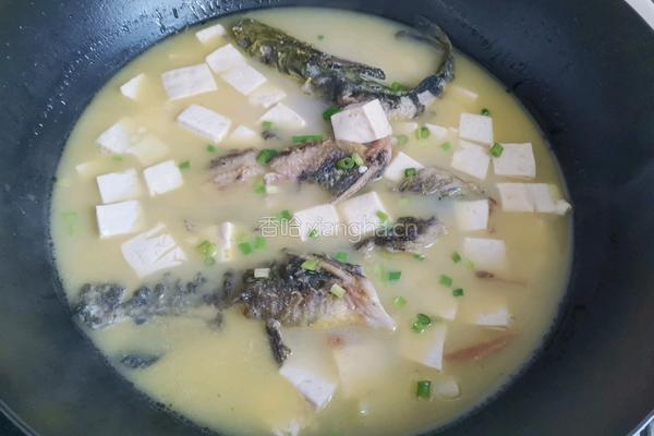 昂刺鱼豆腐汤的做法图解6