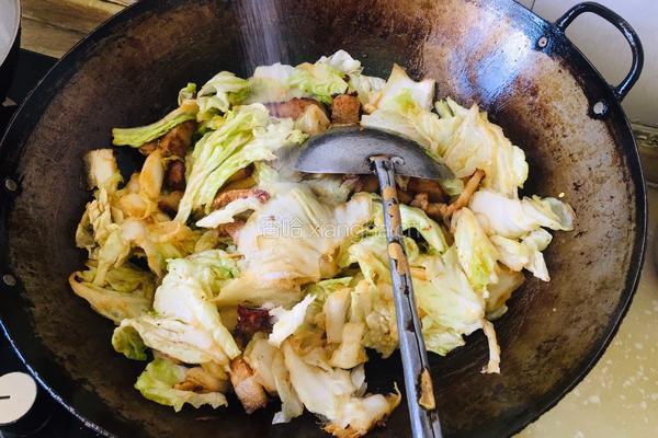 红烧肉烩菜的做法图解3