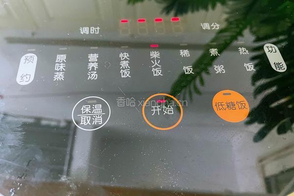 电饭煲无油可乐鸡翅煲的做法图解10
