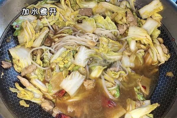 白菜粉条肉的做法图解6