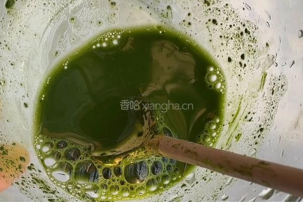 抹茶芋圆牛奶的做法图解3