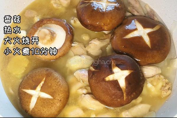 双菇烧鸡腿的做法图解4