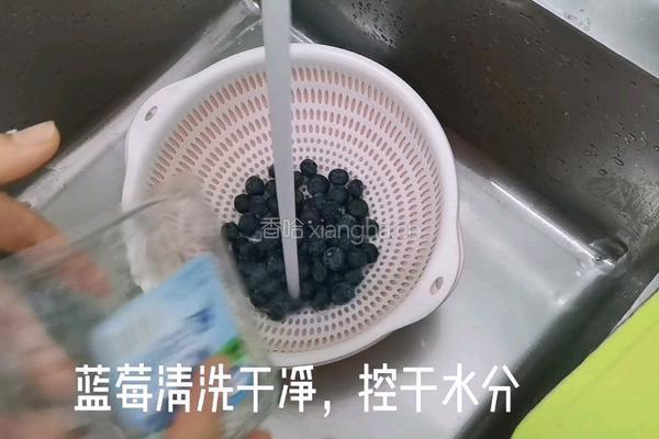 蓝莓冻撞奶的做法图解2