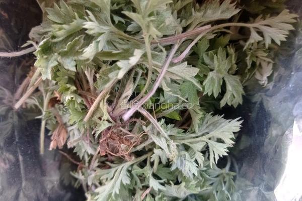 艾草青团的做法图解1