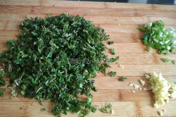 荠菜鸡蛋水饺的做法图解5