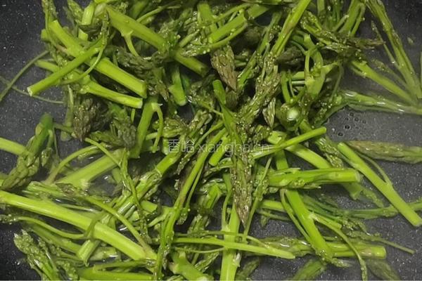清炒芦笋尖的做法图解2