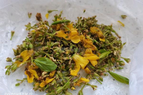 黑豆红枣连翘花的做法图解4