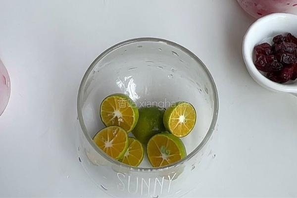 蔓越莓青柠气泡水的做法图解2