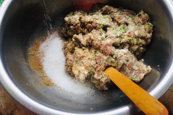 苤蓝大肉水饺的做法图解6