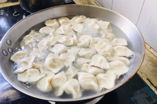 苤蓝大肉水饺的做法图解15