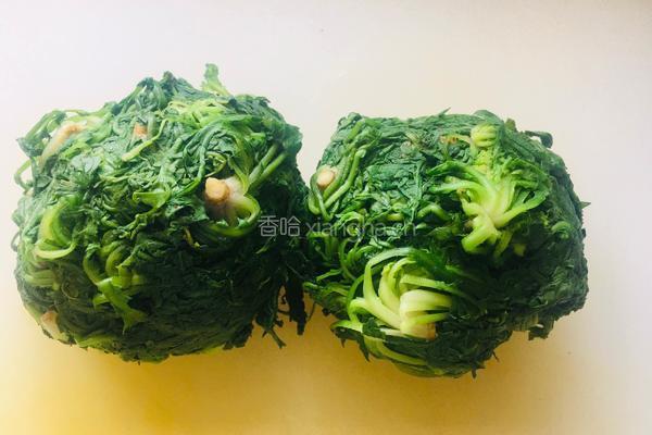 荠菜大肉水饺的做法图解4