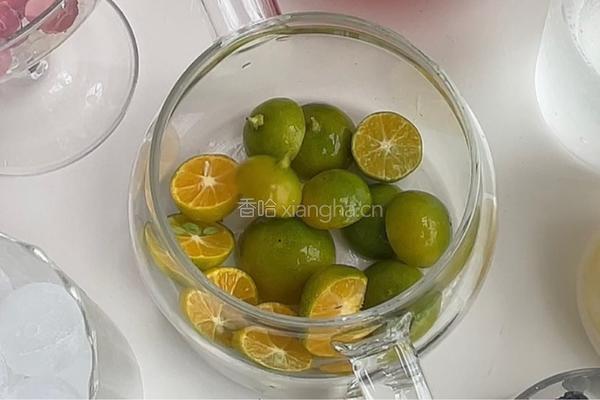 雪碧青桔蔓越莓饮的做法图解2