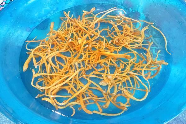 虫草花炒荷兰豆的做法图解3