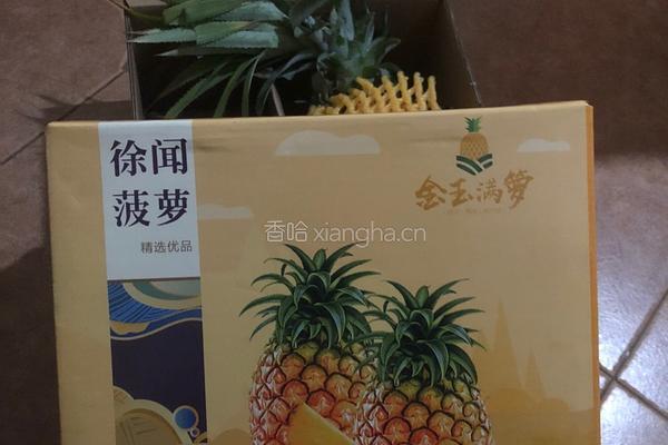 徐闻菠萝酱的做法图解1