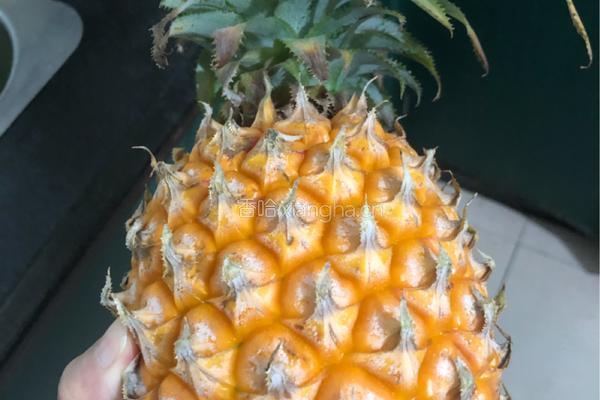 徐闻菠萝酱的做法图解2