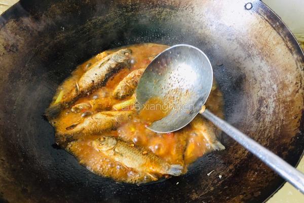 豆瓣酱烧小鲫鱼的做法图解9