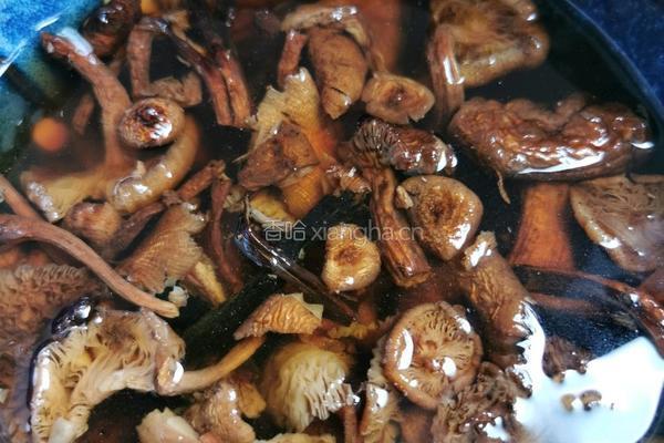 素馅馄饨（首秀）的做法图解4