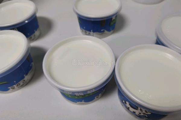 酸奶的做法图解4