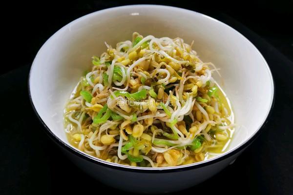 自芽豆芽菜的做法图解7