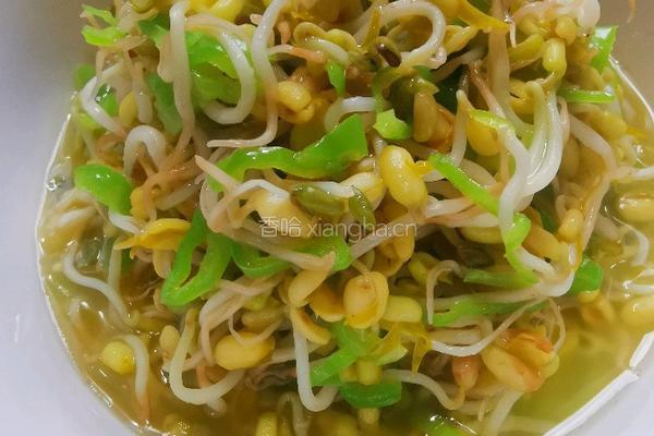 自芽豆芽菜的做法图解6
