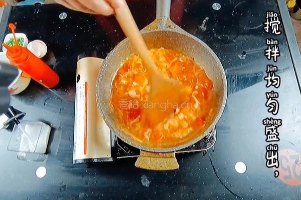 番茄鸡蛋面的做法图解11