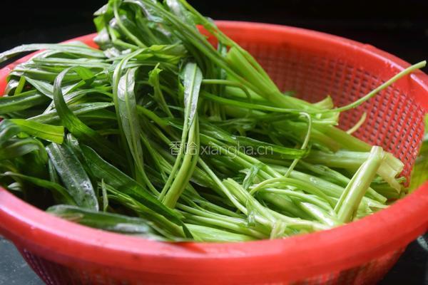 蒜蓉空心菜的做法图解2