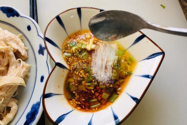 蘸水手撕鸡脯肉的做法图解9
