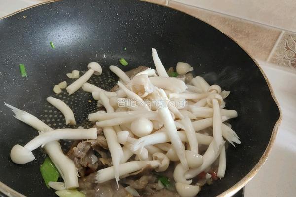 菌菇炒牛肉的做法图解5