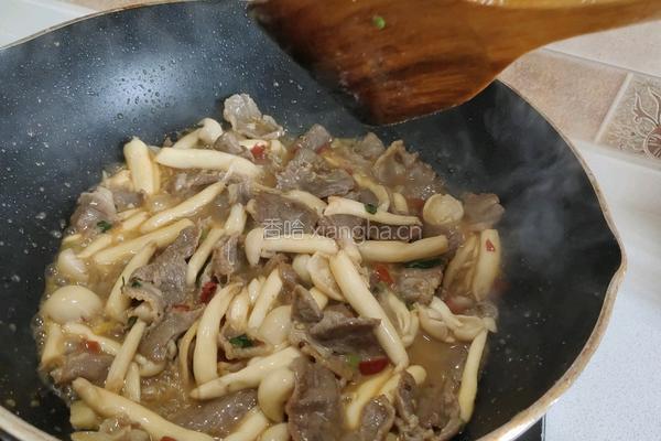 菌菇炒牛肉的做法图解8