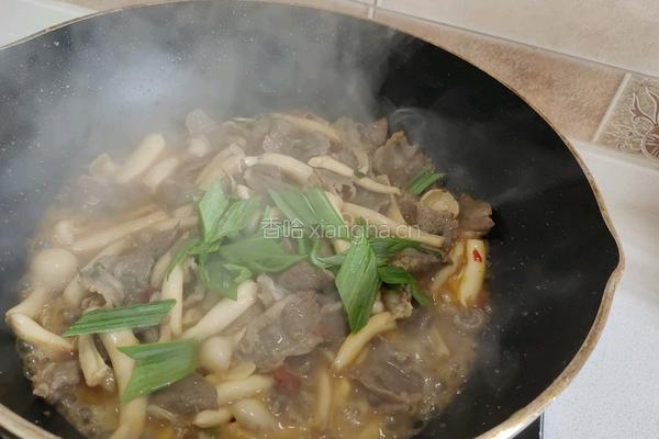 菌菇炒牛肉的做法图解9