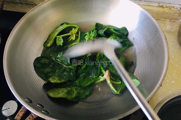 蕨根粉拌菠菜的做法图解4
