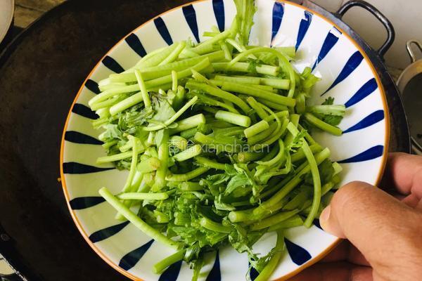 清炒茼蒿的做法图解1