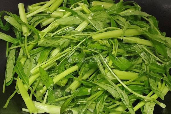 清炒空心菜的做法图解3