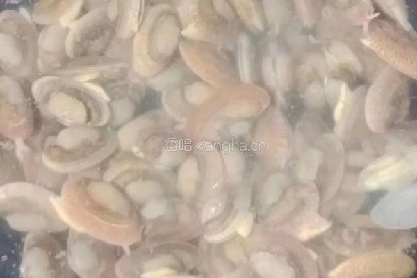 豆瓣酱炒花甲的做法图解2