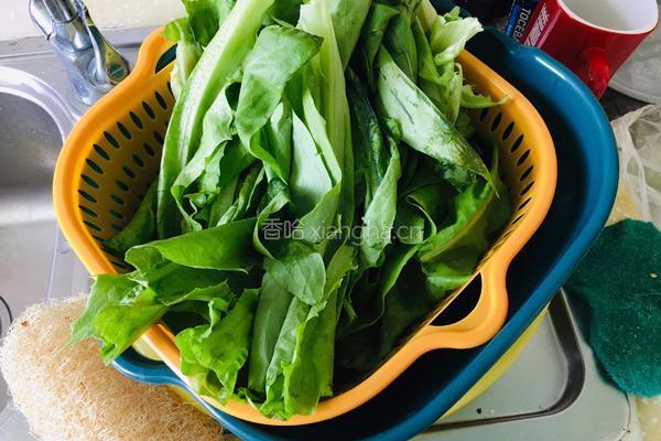 蒜蓉油麦菜的做法图解1