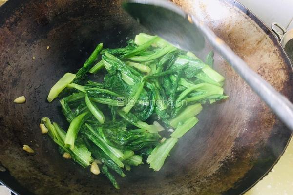蒜蓉油麦菜的做法图解7